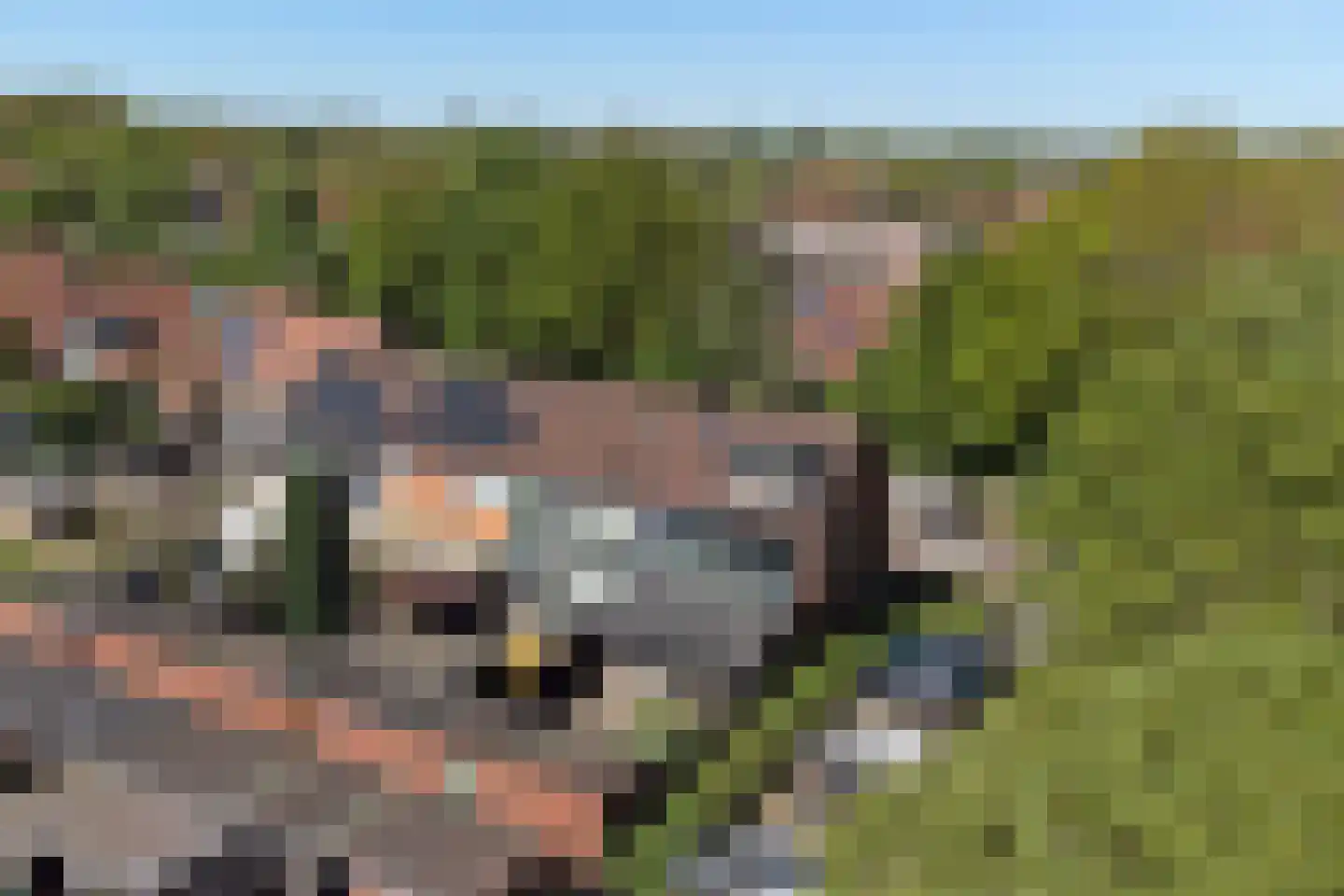 Nieuweweg 214 Doetinchem thumbnail 44