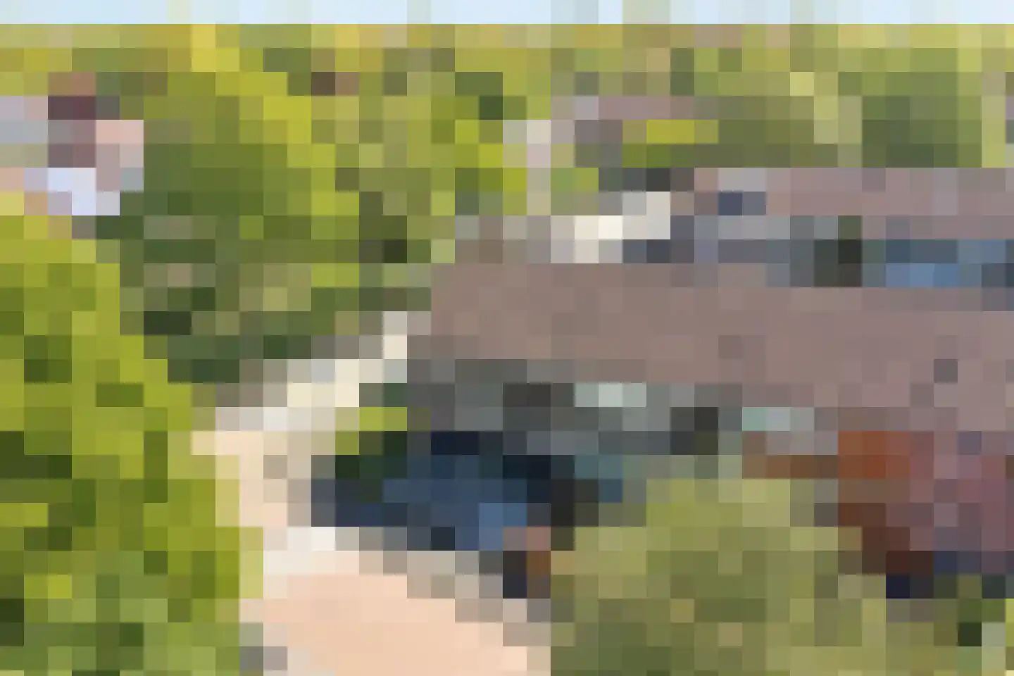Nieuweweg 214 Doetinchem thumbnail 47