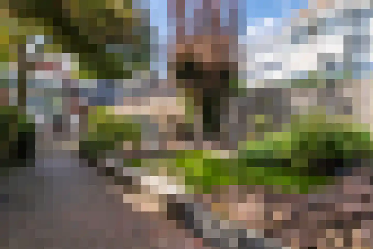 Nieuweweg 22 Veenendaal thumbnail 30