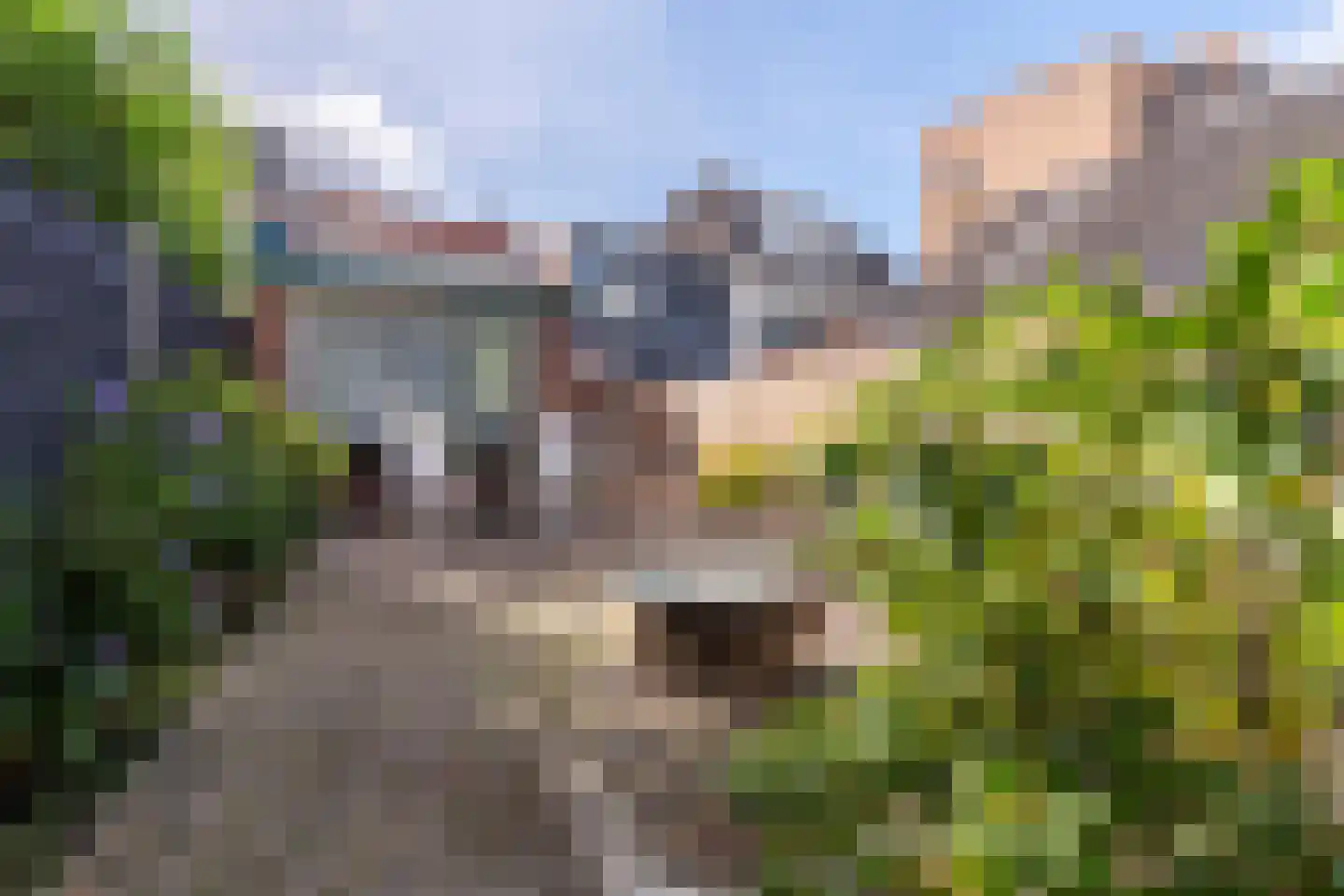Nieuweweg 22 Veenendaal thumbnail 31