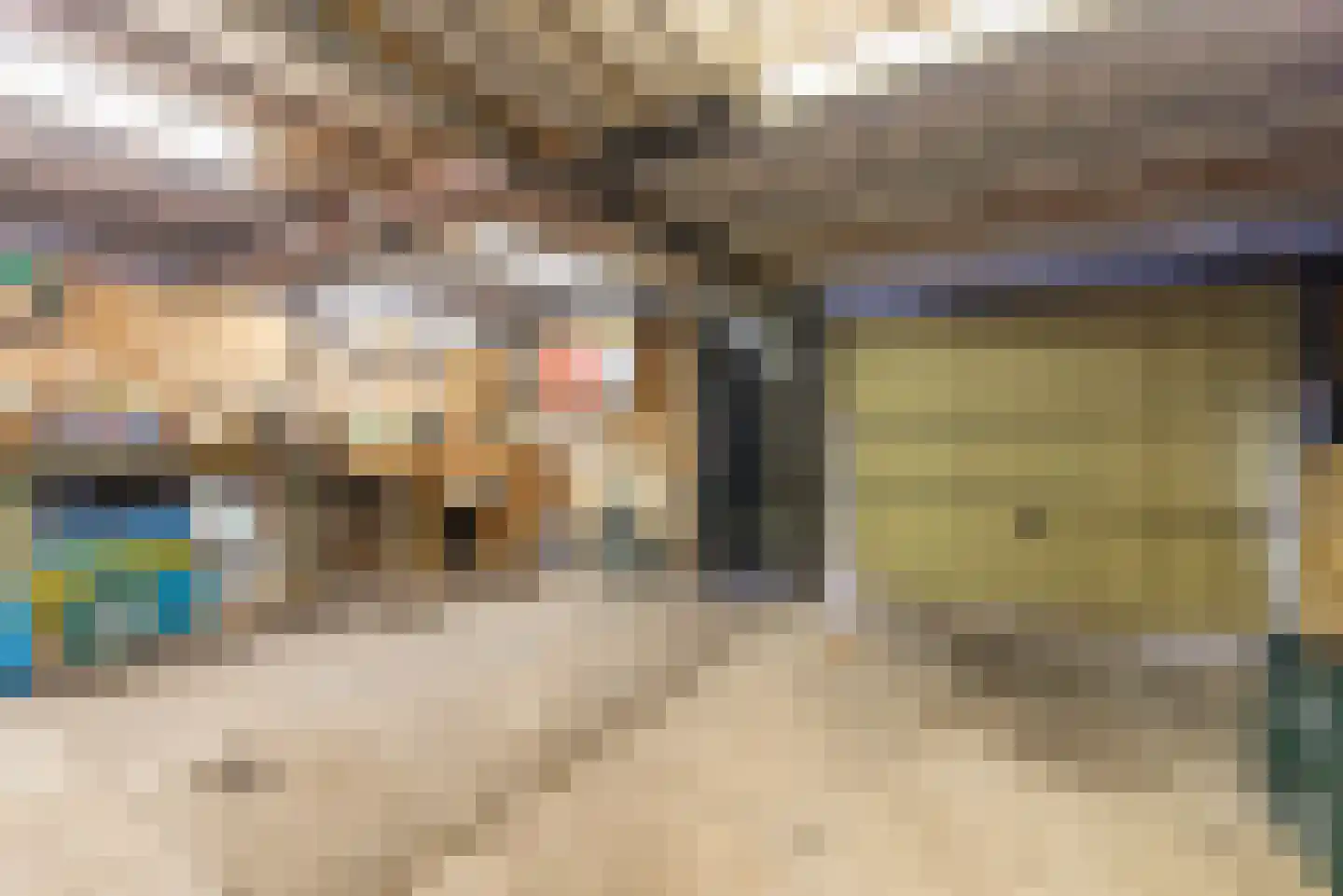 Nieuweweg 22 Veenendaal thumbnail 38