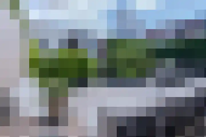 Nieuweweg 221 Breda thumbnail 39