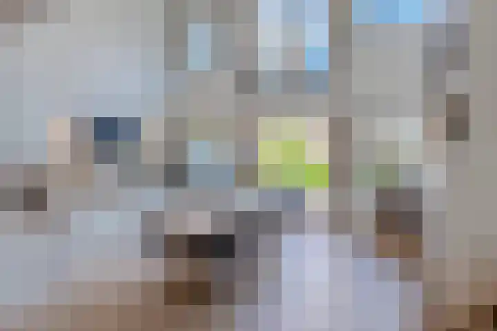 Nieuweweg 221 Breda thumbnail 7