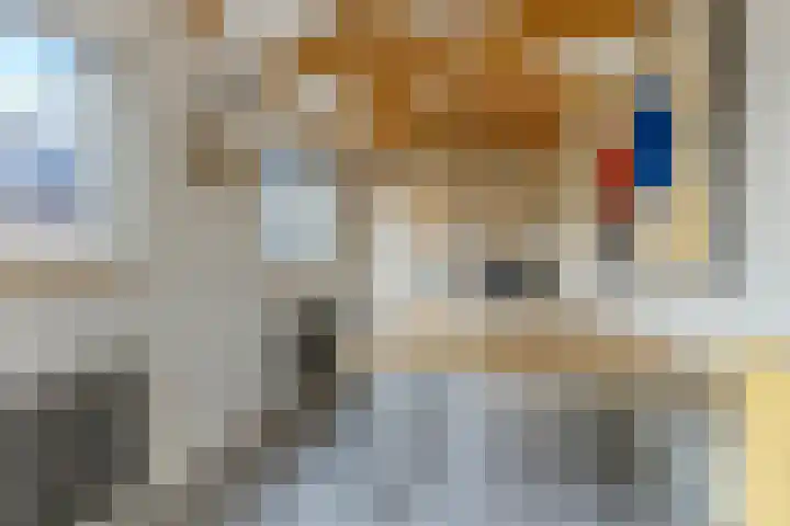 Nieuweweg 23 Wormer thumbnail 10