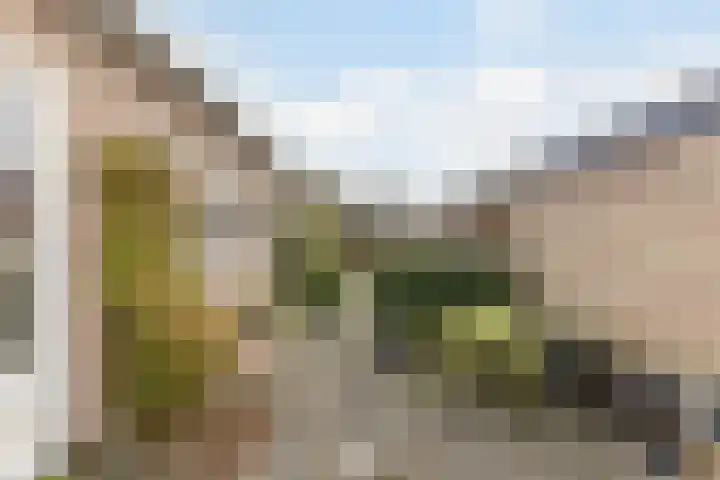 Nieuweweg 23 Wormer thumbnail 12