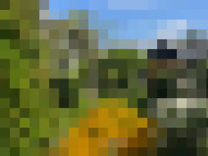 Nieuweweg 23 Wormer thumbnail 13