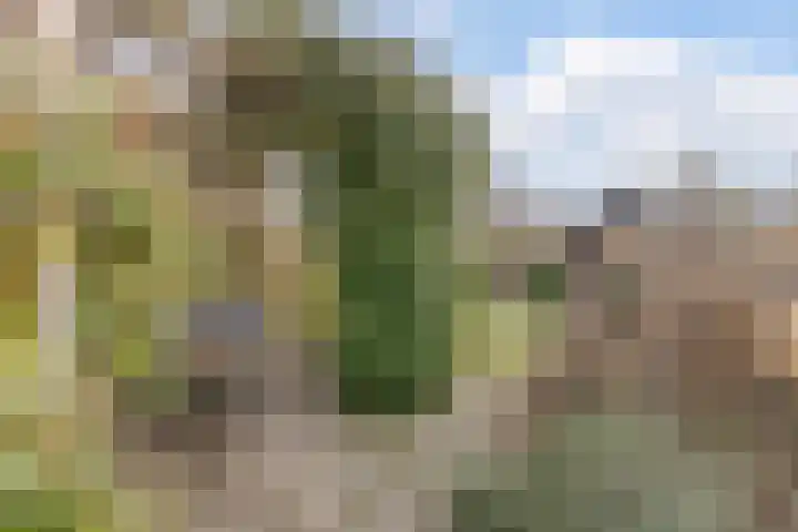 Nieuweweg 23 Wormer thumbnail 14