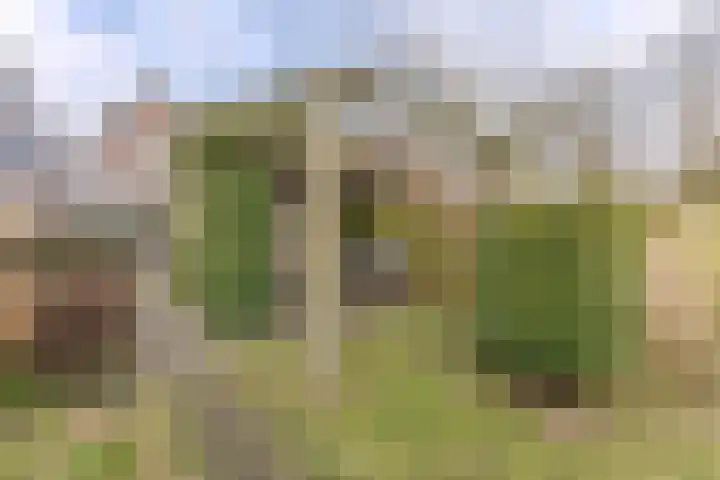 Nieuweweg 23 Wormer thumbnail 15