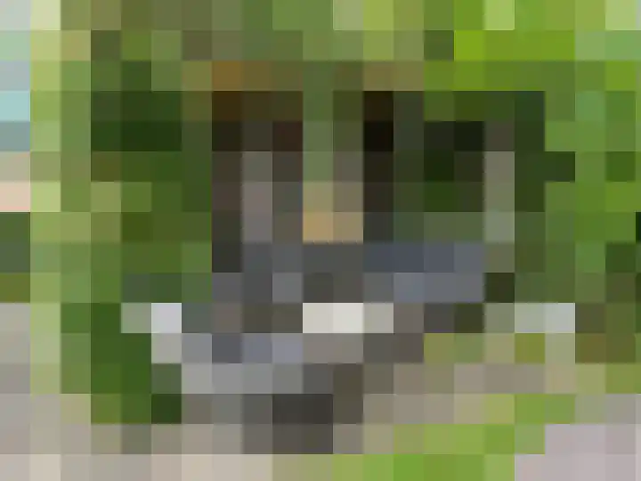 Nieuweweg 23 Wormer thumbnail 16