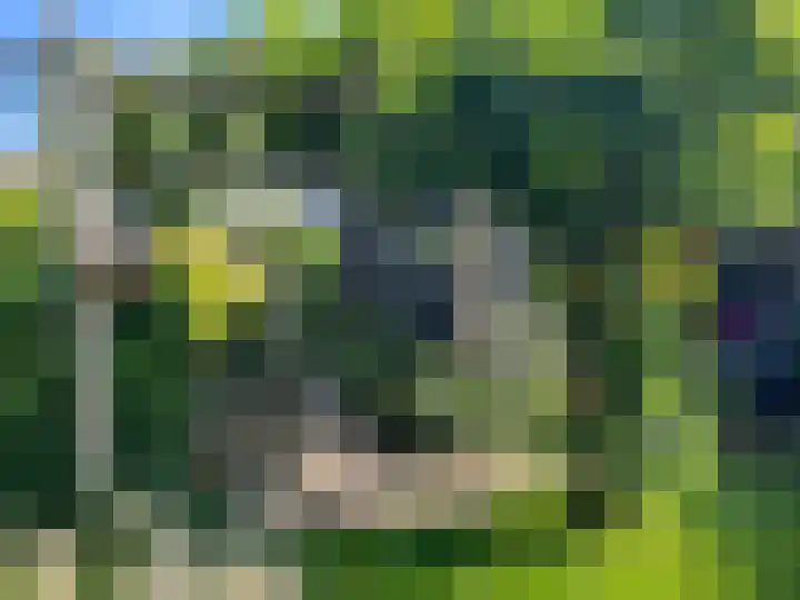 Nieuweweg 23 Wormer thumbnail 17