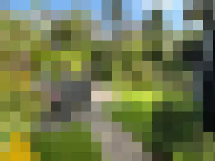 Nieuweweg 23 Wormer thumbnail 18
