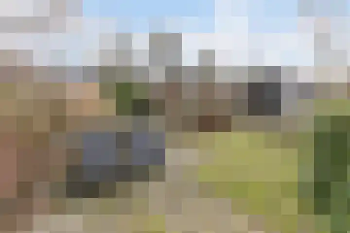 Nieuweweg 23 Wormer thumbnail 19