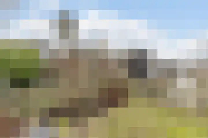 Nieuweweg 23 Wormer thumbnail 20