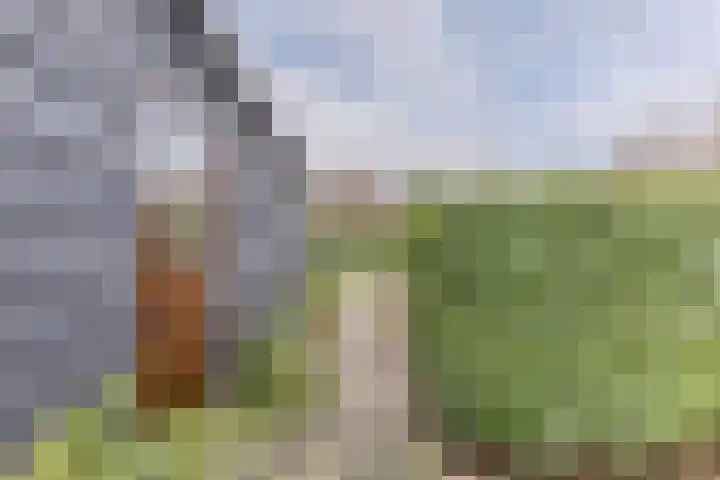 Nieuweweg 23 Wormer thumbnail 22