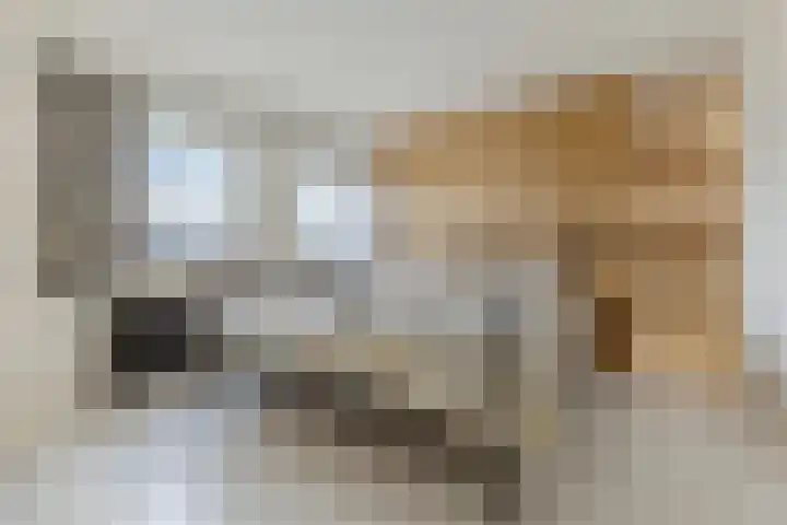 Nieuweweg 23 Wormer thumbnail 26