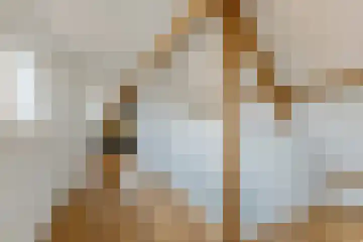 Nieuweweg 23 Wormer thumbnail 32