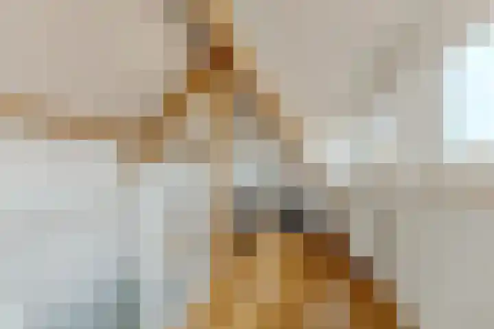 Nieuweweg 23 Wormer thumbnail 35