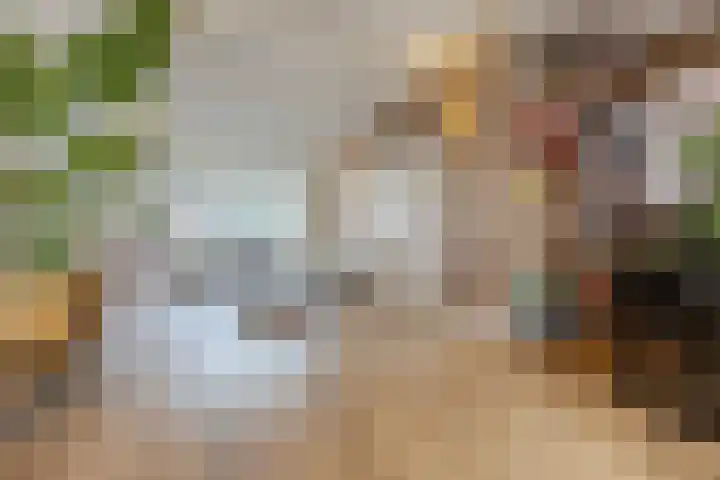 Nieuweweg 23 Wormer thumbnail 6
