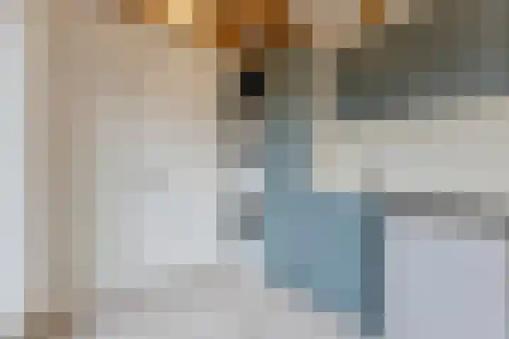 Nieuweweg 23 Wormer thumbnail 8