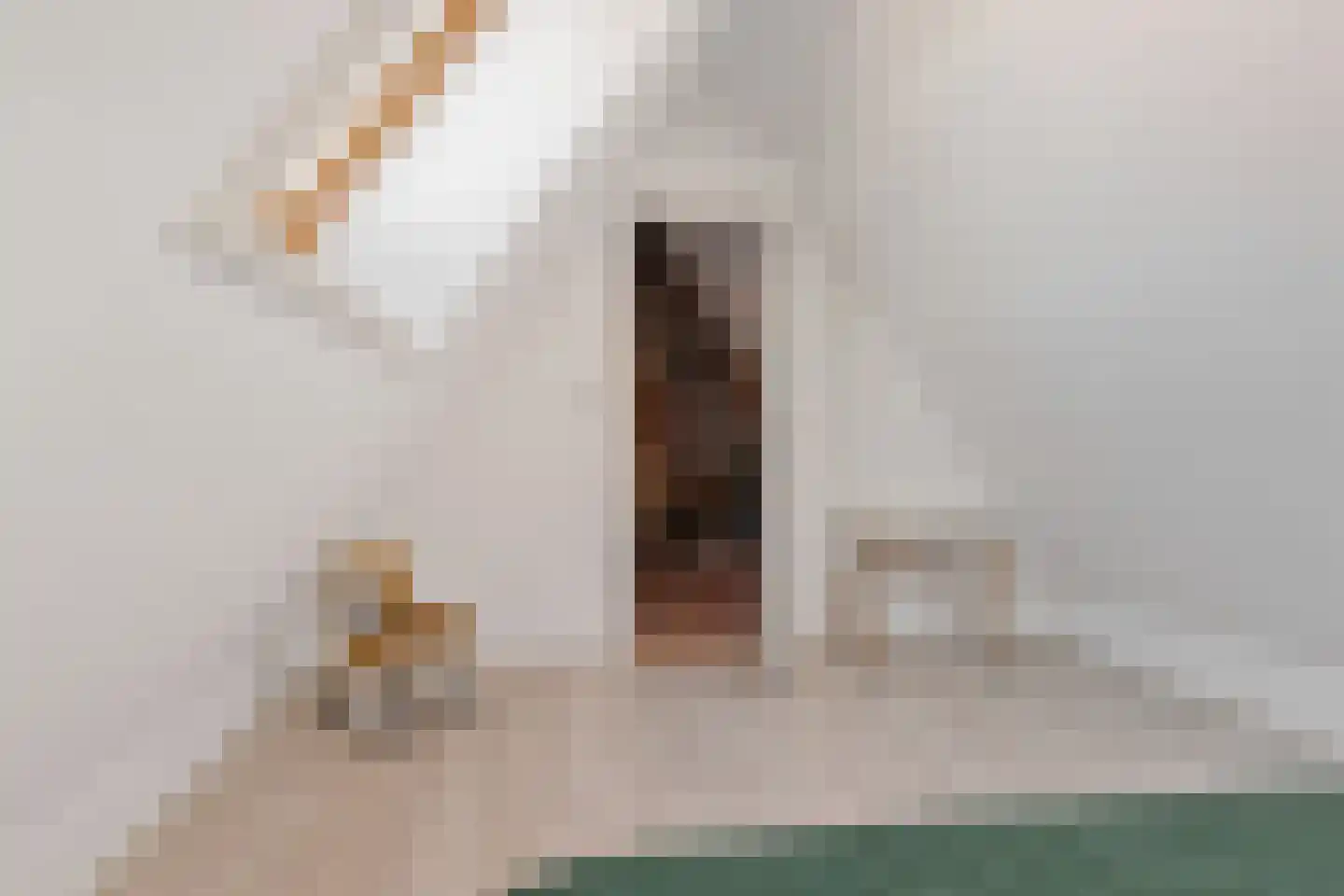 Nieuweweg 24 Wormer thumbnail 43