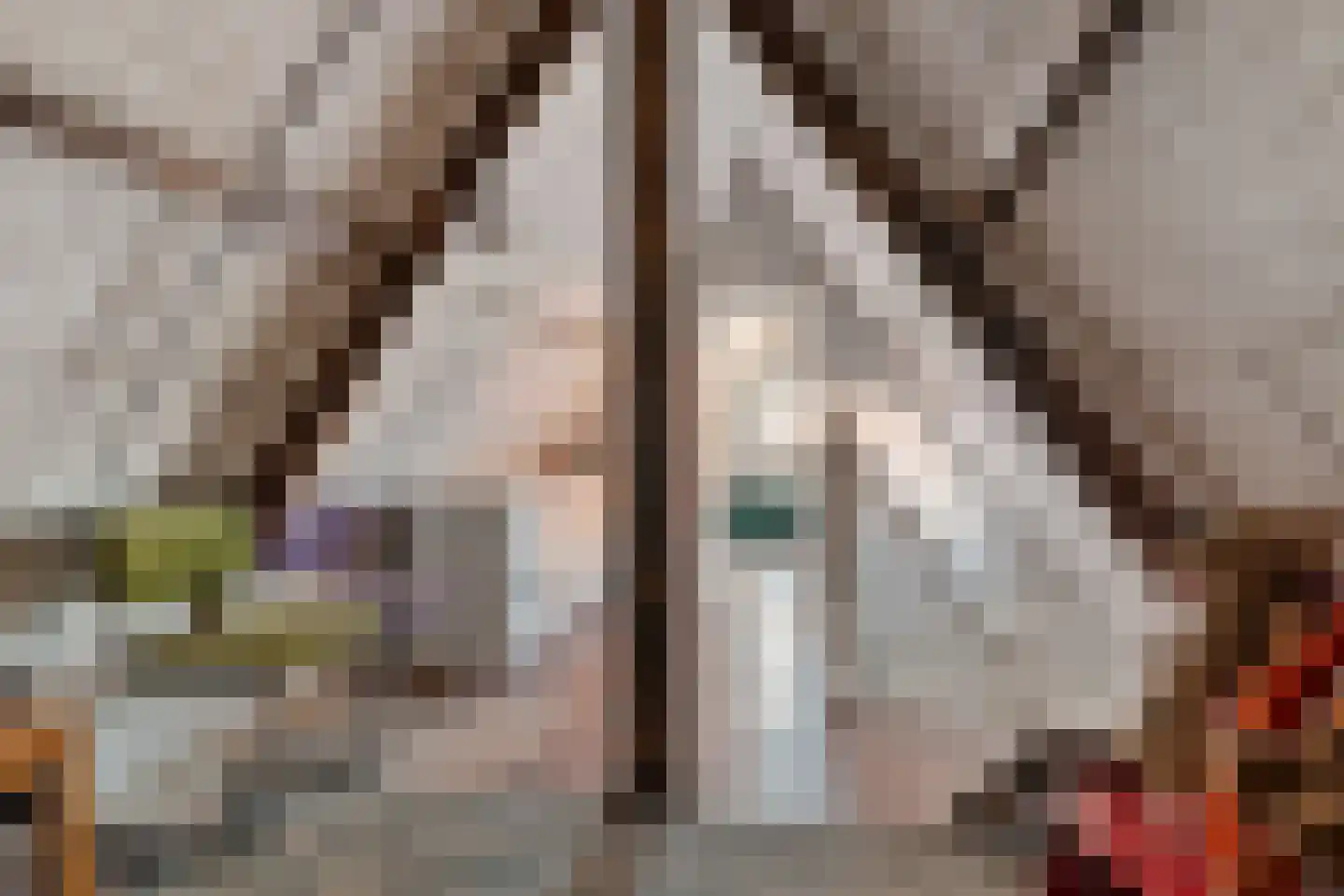 Nieuweweg 24 Wormer thumbnail 45