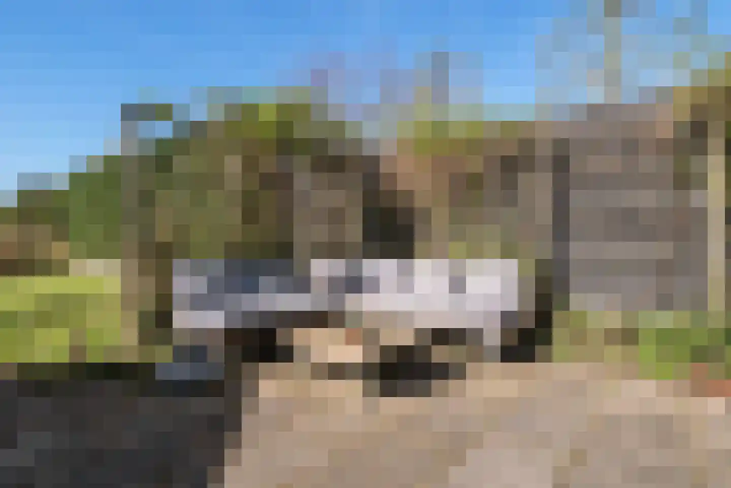 Nieuweweg 24 Wormer thumbnail 51