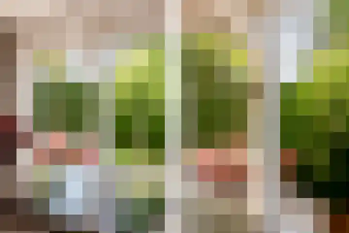Nieuweweg 25 Oostvoorne thumbnail 15