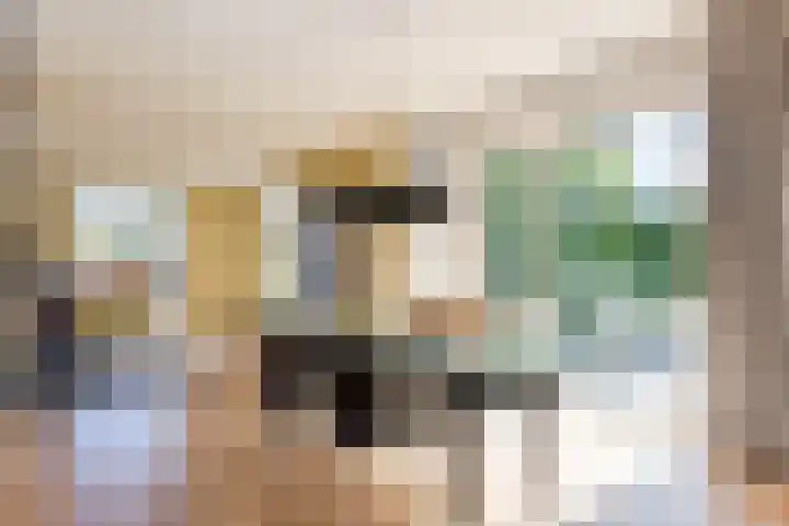 Nieuweweg 25 Oostvoorne thumbnail 21