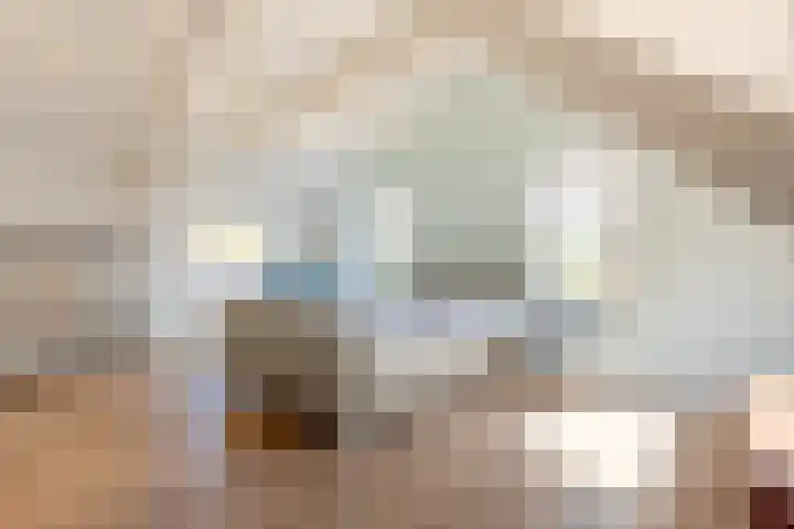 Nieuweweg 25 Oostvoorne thumbnail 32