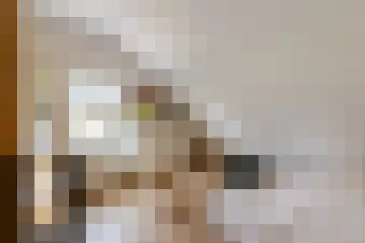 Nieuweweg 25 Oostvoorne thumbnail 41