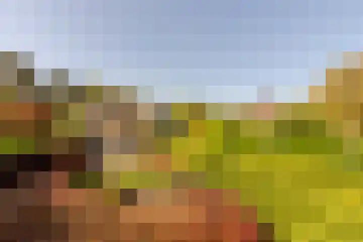 Nieuweweg 25 Oostvoorne thumbnail 43