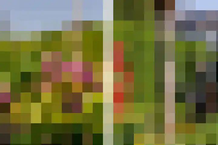 Nieuweweg 25 Oostvoorne thumbnail 47