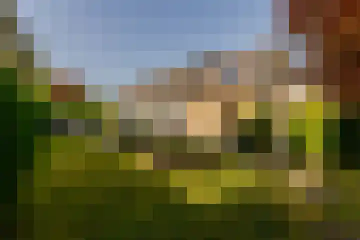 Nieuweweg 25 Oostvoorne thumbnail 48