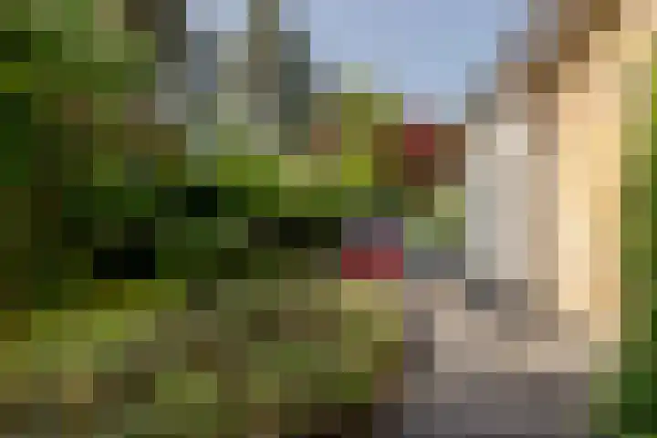 Nieuweweg 25 Oostvoorne thumbnail 49