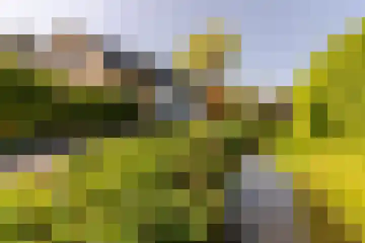 Nieuweweg 25 Oostvoorne thumbnail 5