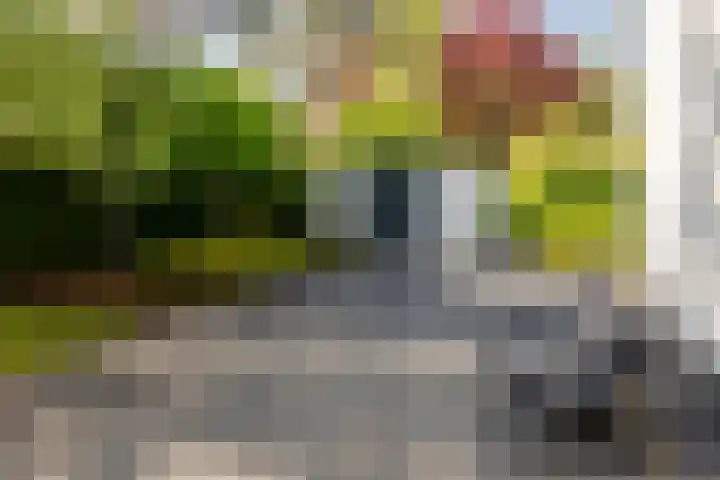 Nieuweweg 25 Oostvoorne thumbnail 50