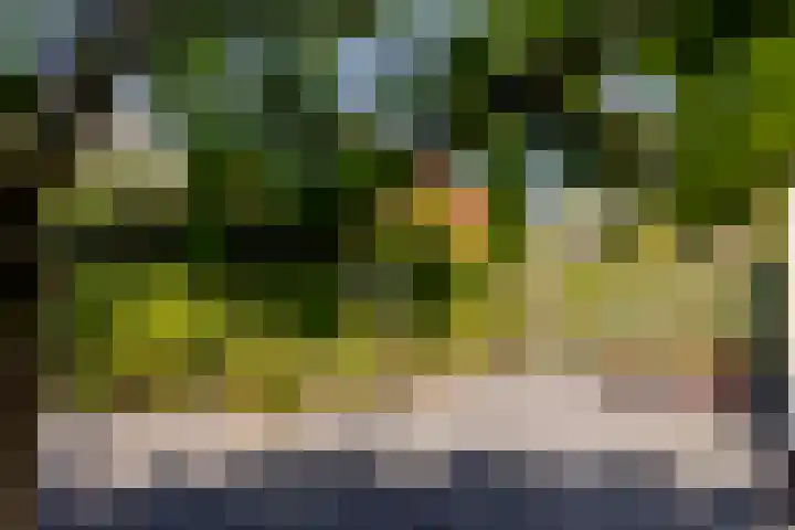Nieuweweg 25 Oostvoorne thumbnail 52