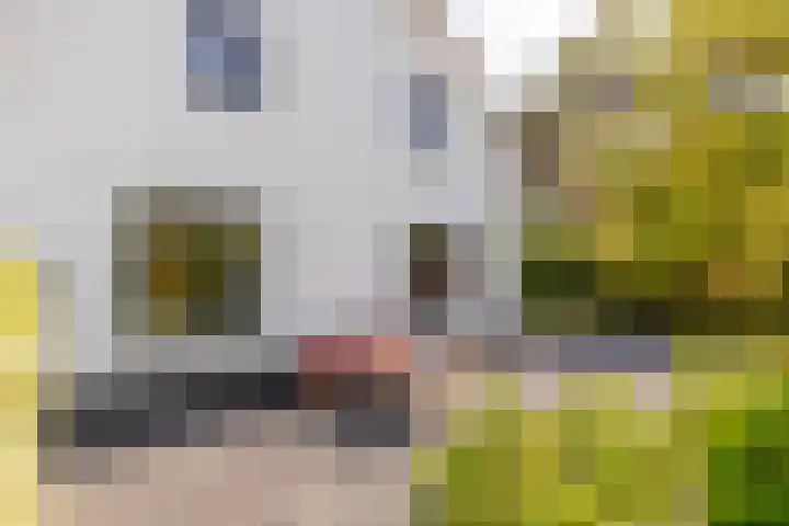 Nieuweweg 25 Oostvoorne thumbnail 54
