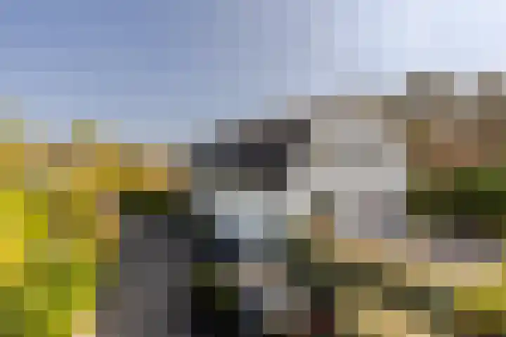 Nieuweweg 25 Oostvoorne thumbnail 55