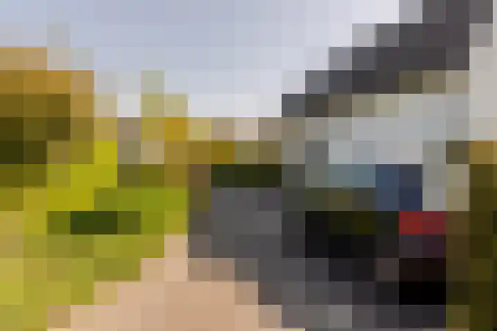 Nieuweweg 25 Oostvoorne thumbnail 56