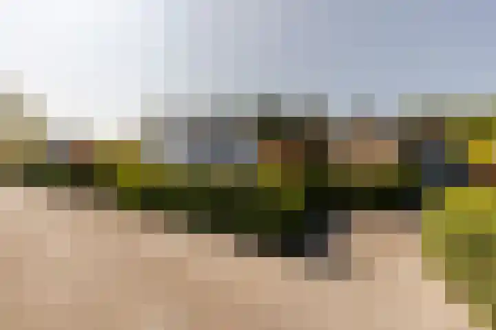 Nieuweweg 25 Oostvoorne thumbnail 57
