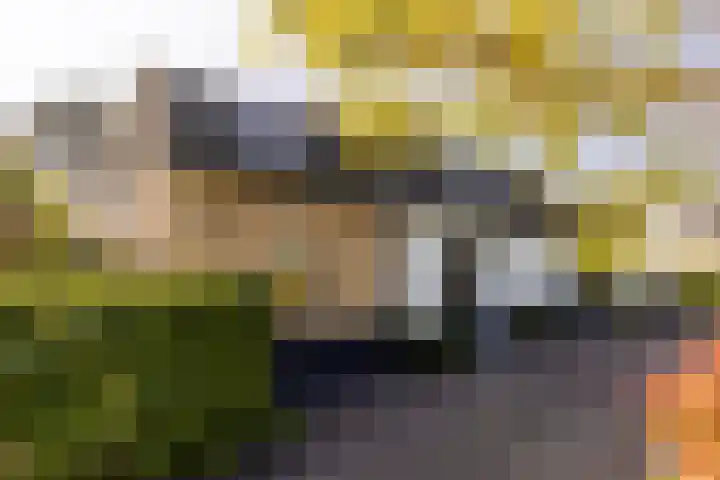 Nieuweweg 25 Oostvoorne thumbnail 6