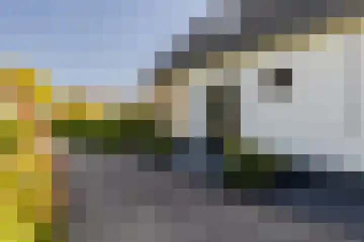 Nieuweweg 25 Oostvoorne thumbnail 7