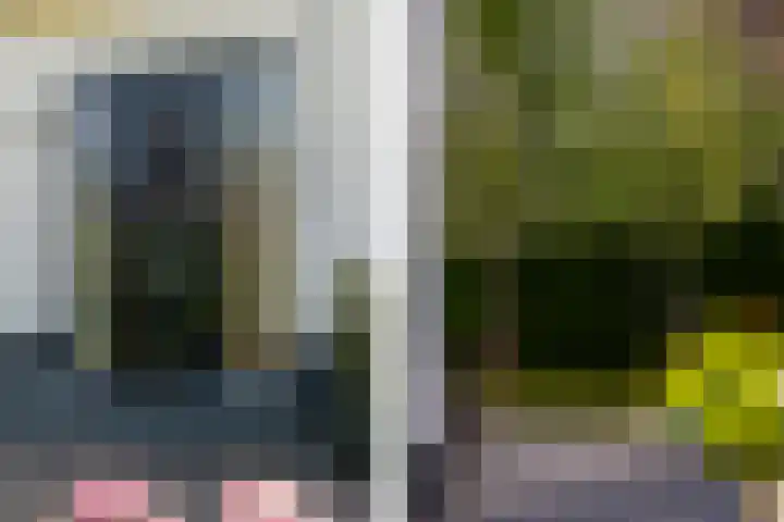 Nieuweweg 25 Oostvoorne thumbnail 8