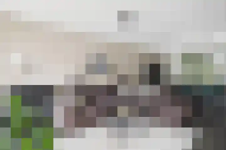 Nieuweweg 26 Hulst thumbnail 10