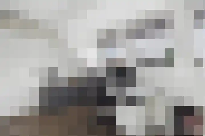 Nieuweweg 26 Hulst thumbnail 27