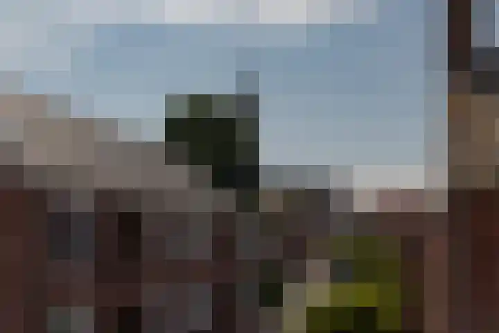Nieuweweg 26 Hulst thumbnail 29