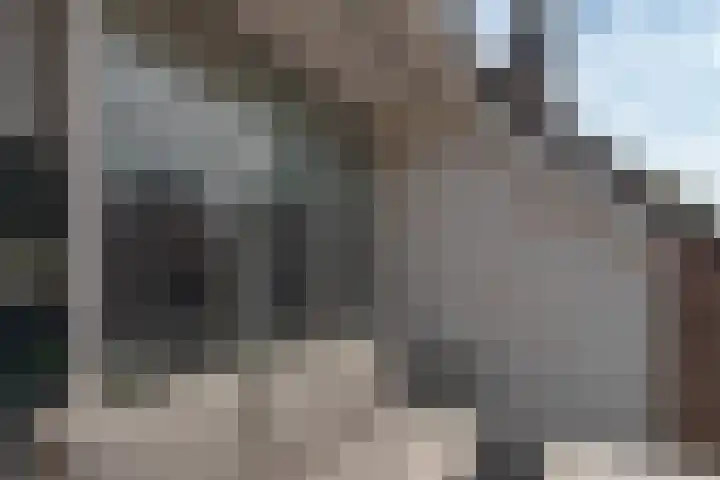 Nieuweweg 26 Hulst thumbnail 30