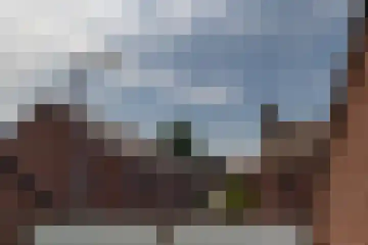 Nieuweweg 26 Hulst thumbnail 32