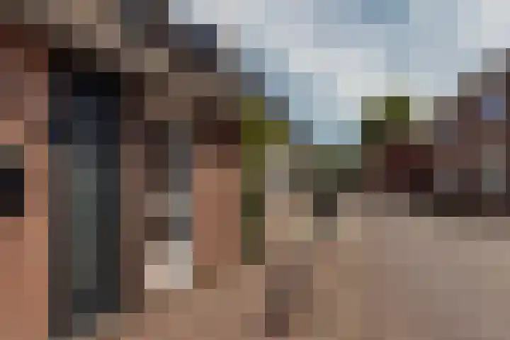 Nieuweweg 26 Hulst thumbnail 5